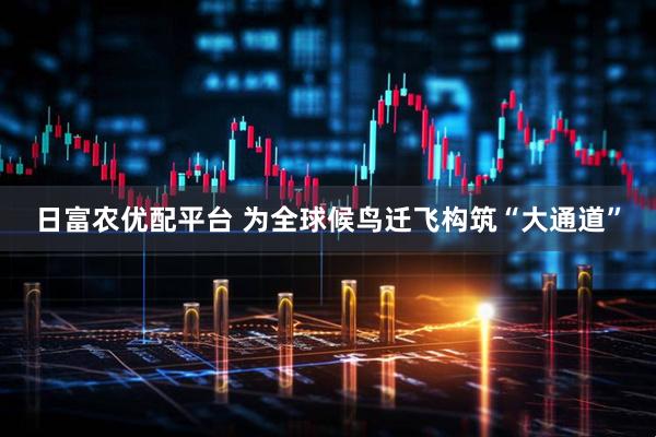 日富农优配平台 为全球候鸟迁飞构筑“大通道”